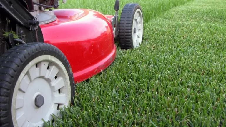featured-image-lawn-care